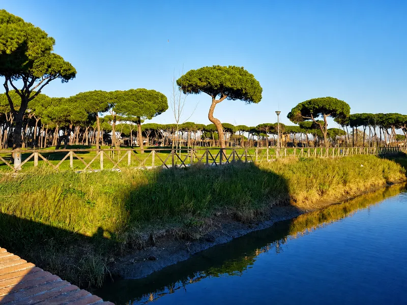 Lush green park with tall, rounded trees, a wooden fence, and a calm waterway reflecting the blue sky.